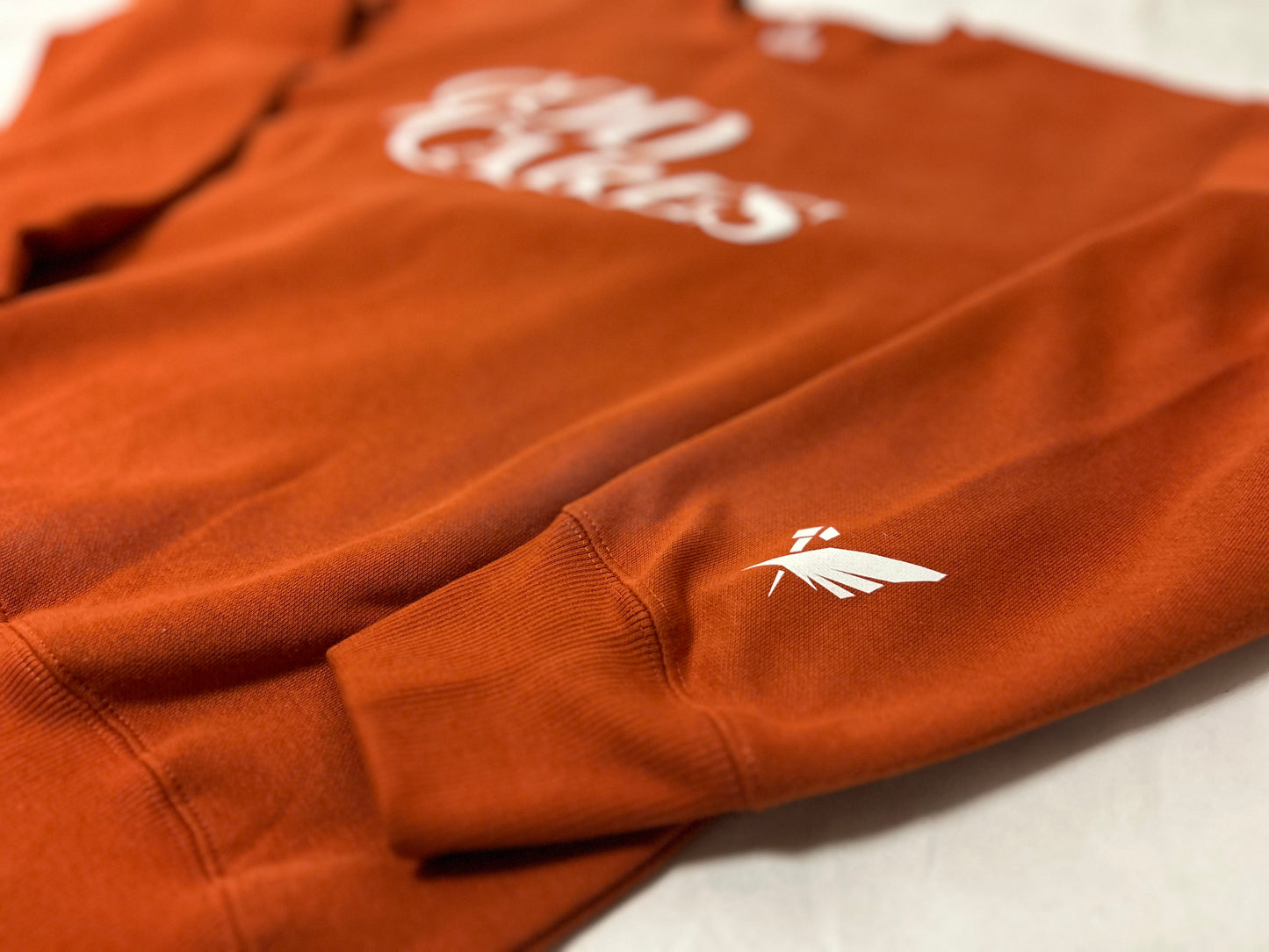 🔥 Limited stock left! 🔥 GC "God Cares" Clay Crew Sweater